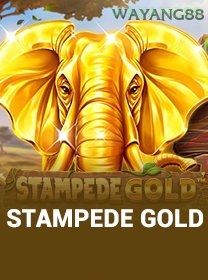 Stampede Gold